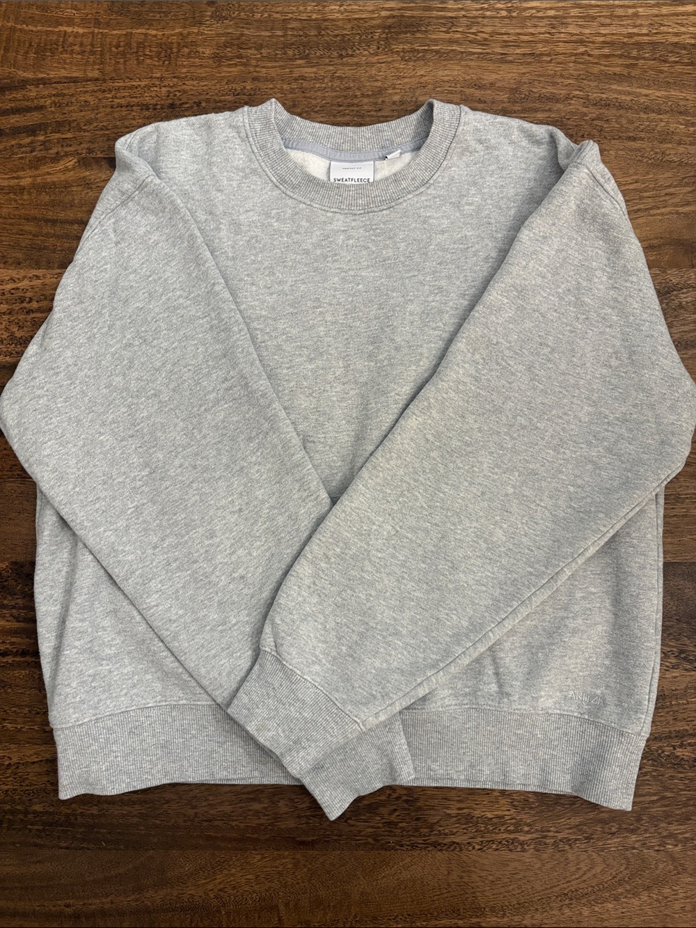 Aritzia Women’s Gray Crewneck Sweatshirt